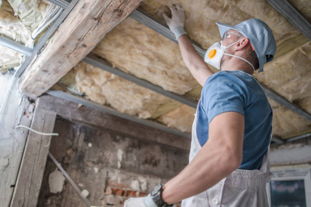 Best Specialized Insulation Services in Elk City, OK